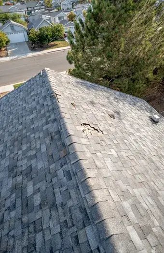 Roof Repair X